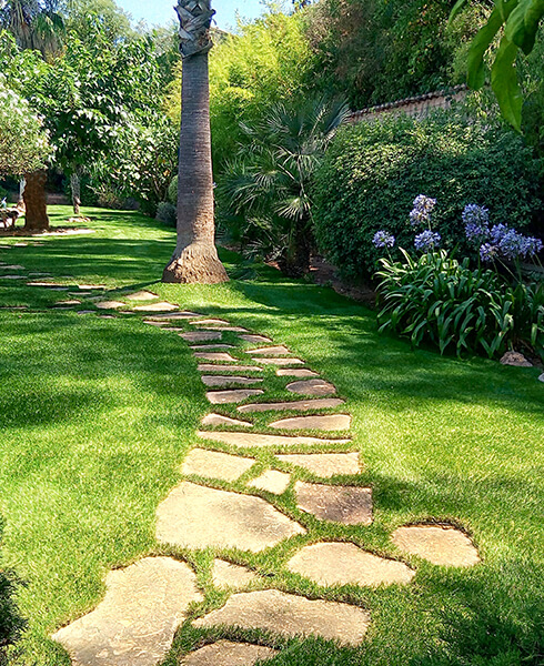 Illustration de pelouse artificielle dans un jardin Gazon synthétique dans un jardin avec pas japonnais