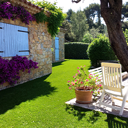 Jardin et gazon synthétique avec plante grimpante